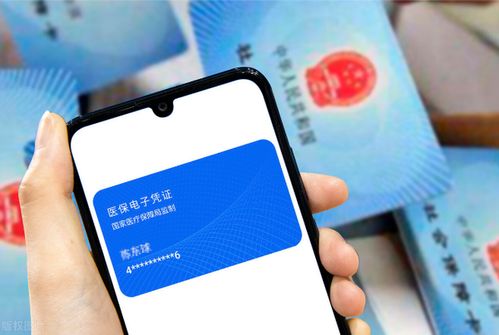 振和24小时医保套取实操指南：老司机分享高效安全操作流程
